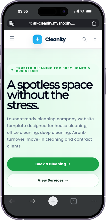 Ready-Made Cleaning Business Website